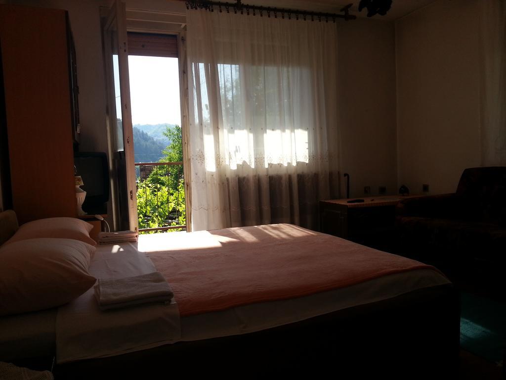 Guest House Конич Стая снимка